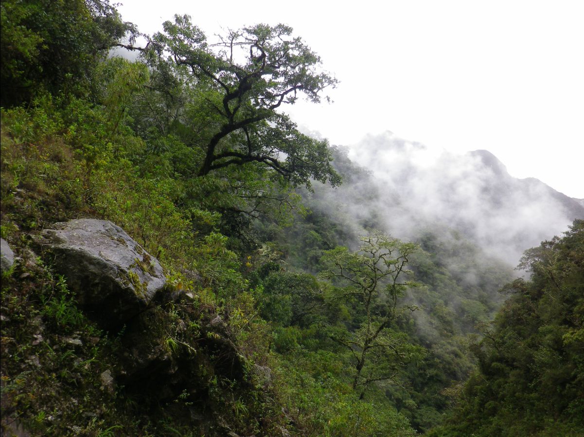 Inca Trail to Machu Picchu17